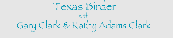 Photographing with Kathy Adams Clark